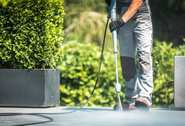 Best Pre-Holiday Cleaning  in Ruthers, CA