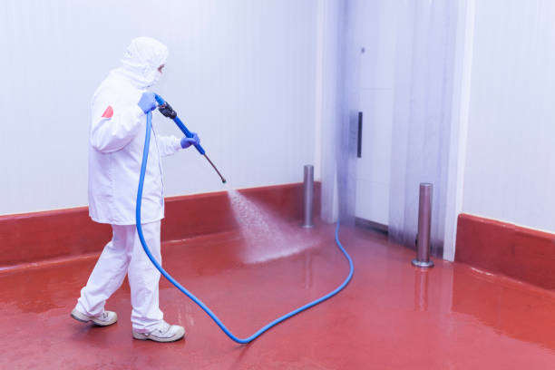  Ruthers, CA Pressure Washing Pros