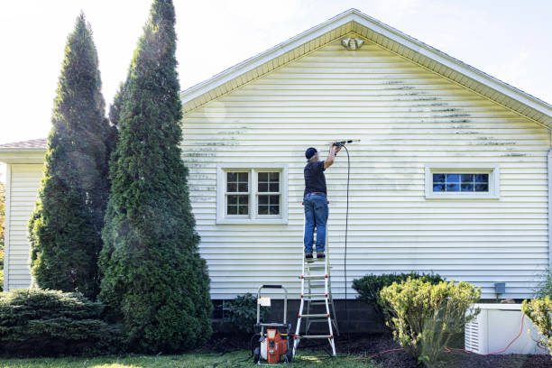 Best Roof Washing  in Ruthers, CA